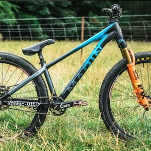 Meet your Posher, Jasper